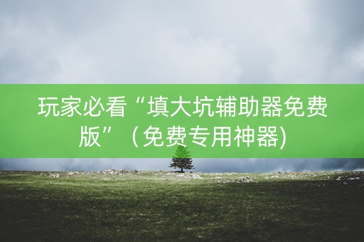 玩家必看“填大坑辅助器免费版”（免费专用神器)