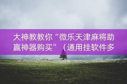 大神教教你“微乐天津麻将助赢神器购买”（通用挂软件多少钱)