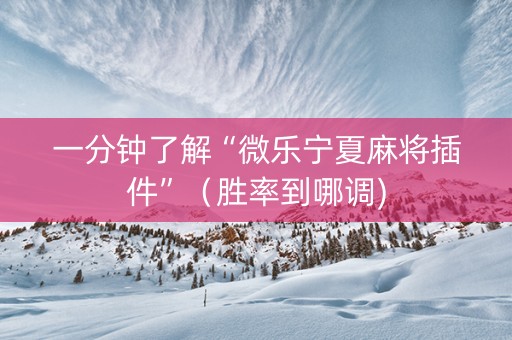 一分钟了解“微乐宁夏麻将插件”（胜率到哪调)