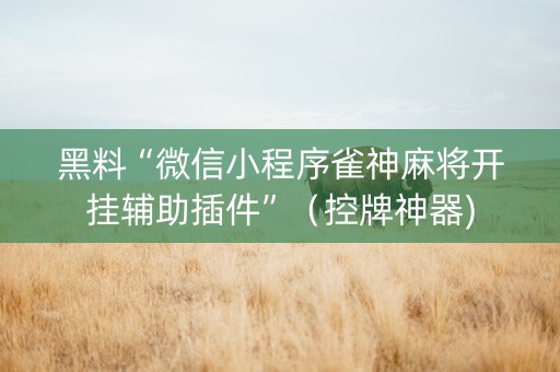 黑料“微信小程序雀神麻将开挂辅助插件”（控牌神器)