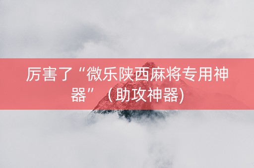 厉害了“微乐陕西麻将专用神器”（助攻神器)