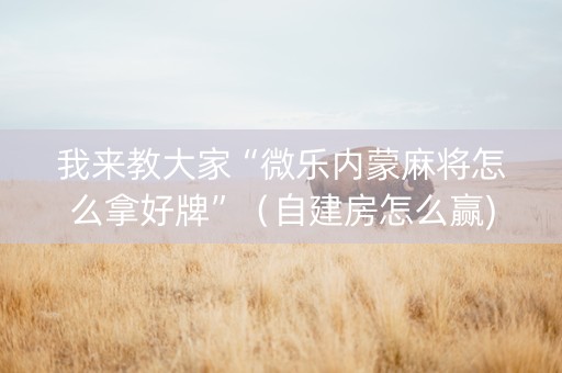 我来教大家“微乐内蒙麻将怎么拿好牌”（自建房怎么赢)