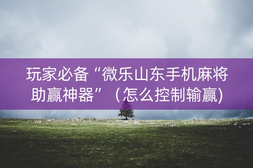 玩家必备“微乐山东手机麻将助赢神器”（怎么控制输赢)