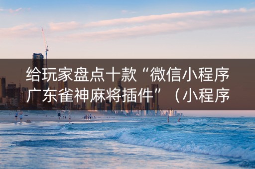 给玩家盘点十款“微信小程序广东雀神麻将插件”（小程序辅助软件)