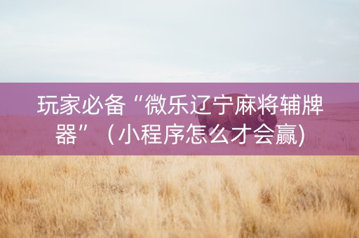 玩家必备“微乐辽宁麻将辅牌器”（小程序怎么才会赢)