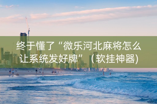 终于懂了“微乐河北麻将怎么让系统发好牌”（软挂神器)