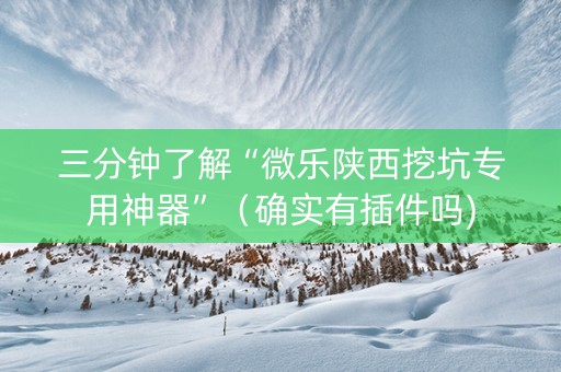 三分钟了解“微乐陕西挖坑专用神器”（确实有插件吗)