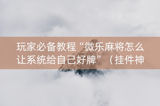 玩家必备教程“微乐麻将怎么让系统给自己好牌”（挂件神器)