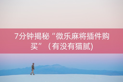 7分钟揭秘“微乐麻将插件购买”（有没有猫腻)
