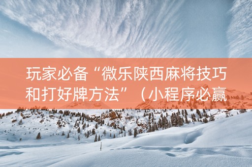 玩家必备“微乐陕西麻将技巧和打好牌方法”（小程序必赢神器)