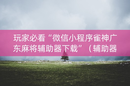 玩家必看“微信小程序雀神广东麻将辅助器下载”（辅助器通用版)