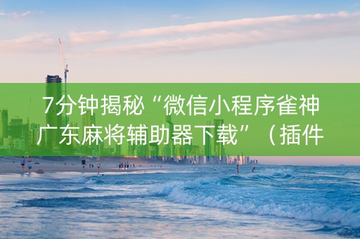7分钟揭秘“微信小程序雀神广东麻将辅助器下载”（插件可信吗)