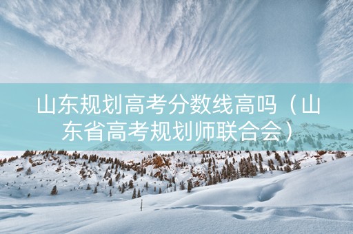 山东规划高考分数线高吗（山东省高考规划师联合会）
