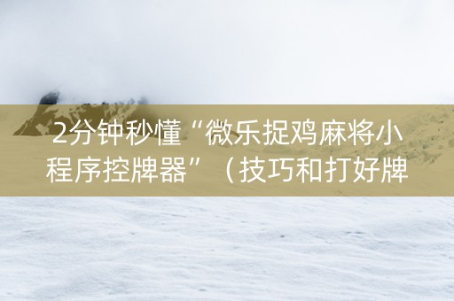 2分钟秒懂“微乐捉鸡麻将小程序控牌器”（技巧和打好牌方法)