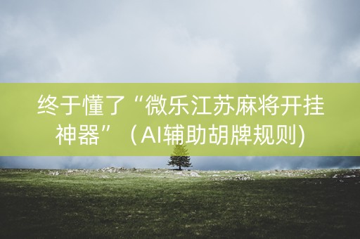 终于懂了“微乐江苏麻将开挂神器”（AI辅助胡牌规则)