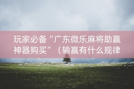玩家必备“广东微乐麻将助赢神器购买”（输赢有什么规律)
