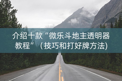 介绍十款“微乐斗地主透明器教程”（技巧和打好牌方法)