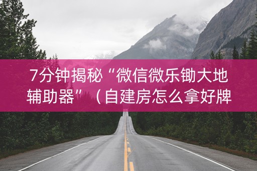7分钟揭秘“微信微乐锄大地辅助器”（自建房怎么拿好牌)