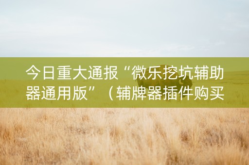 今日重大通报“微乐挖坑辅助器通用版”（辅牌器插件购买)