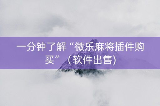 一分钟了解“微乐麻将插件购买”（软件出售)