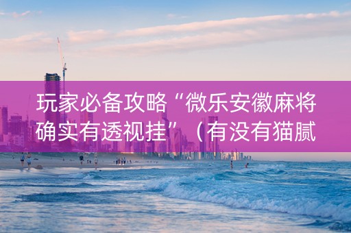 玩家必备攻略“微乐安徽麻将确实有透视挂”（有没有猫腻)