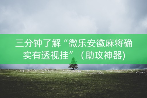 三分钟了解“微乐安徽麻将确实有透视挂”（助攻神器)