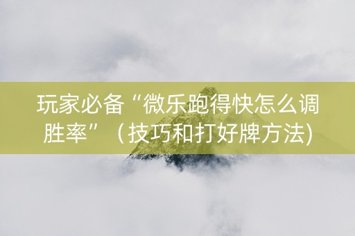 玩家必备“微乐跑得快怎么调胜率”（技巧和打好牌方法)