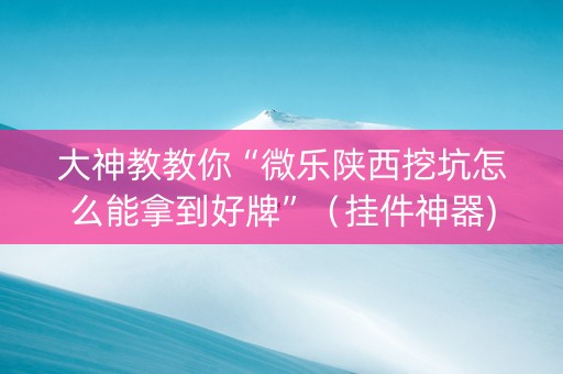 大神教教你“微乐陕西挖坑怎么能拿到好牌”（挂件神器)