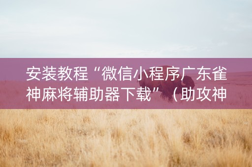安装教程“微信小程序广东雀神麻将辅助器下载”（助攻神器)