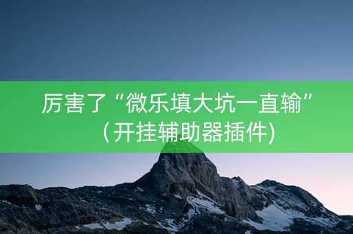 厉害了“微乐填大坑一直输”（开挂辅助器插件)