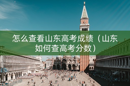 怎么查看山东高考成绩（山东如何查高考分数）