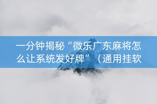 一分钟揭秘“微乐广东麻将怎么让系统发好牌”（通用挂软件多少钱)