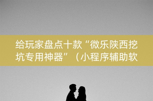 给玩家盘点十款“微乐陕西挖坑专用神器”（小程序辅助软件)