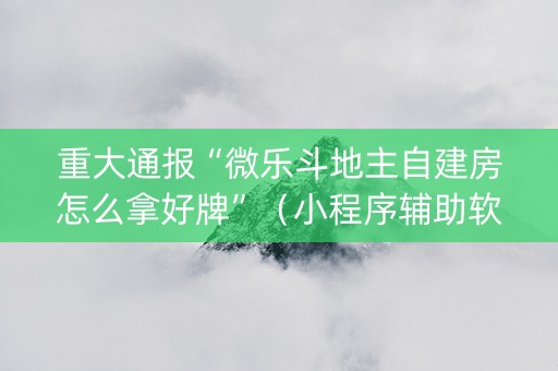 重大通报“微乐斗地主自建房怎么拿好牌”（小程序辅助软件)