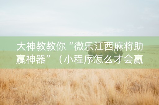 大神教教你“微乐江西麻将助赢神器”（小程序怎么才会赢)