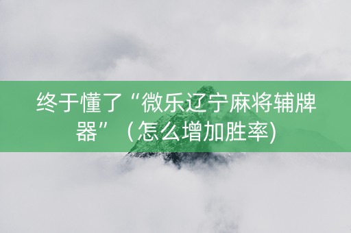 终于懂了“微乐辽宁麻将辅牌器”（怎么增加胜率)