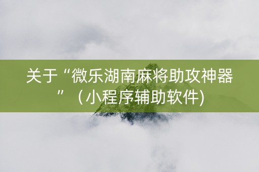 关于“微乐湖南麻将助攻神器”（小程序辅助软件)