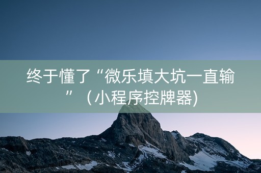 终于懂了“微乐填大坑一直输”（小程序控牌器)
