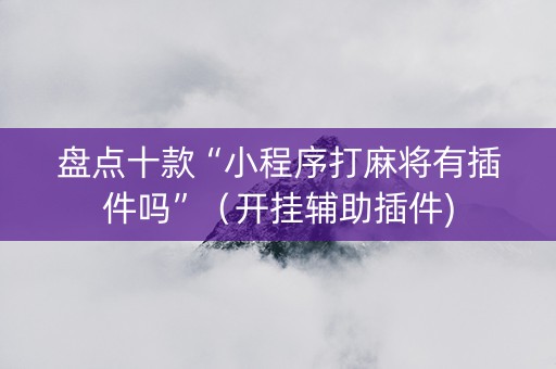 盘点十款“小程序打麻将有插件吗”（开挂辅助插件)