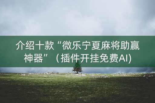 介绍十款“微乐宁夏麻将助赢神器”（插件开挂免费AI)