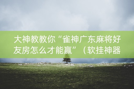 大神教教你“雀神广东麻将好友房怎么才能赢”（软挂神器)