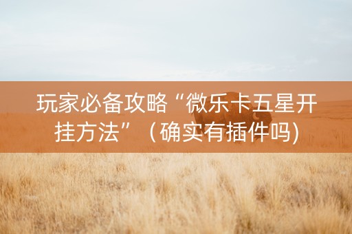 玩家必备攻略“微乐卡五星开挂方法”（确实有插件吗)