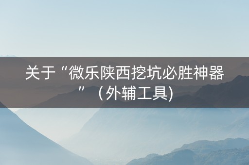 关于“微乐陕西挖坑必胜神器”（外辅工具)