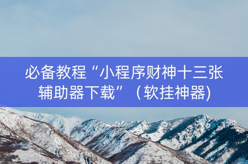 必备教程“小程序财神十三张辅助器下载”（软挂神器)