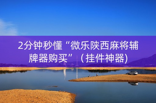 2分钟秒懂“微乐陕西麻将辅牌器购买”（挂件神器)