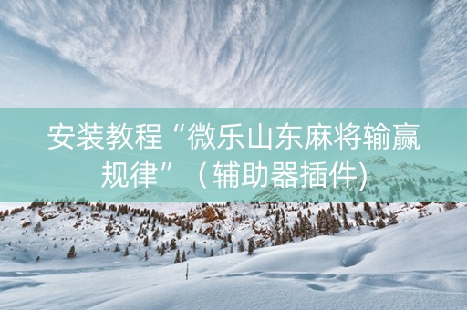 安装教程“微乐山东麻将输赢规律”（辅助器插件)