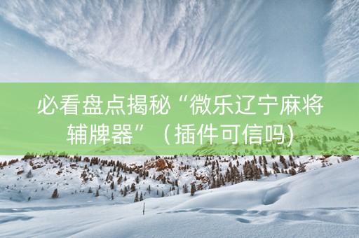 必看盘点揭秘“微乐辽宁麻将辅牌器”（插件可信吗)