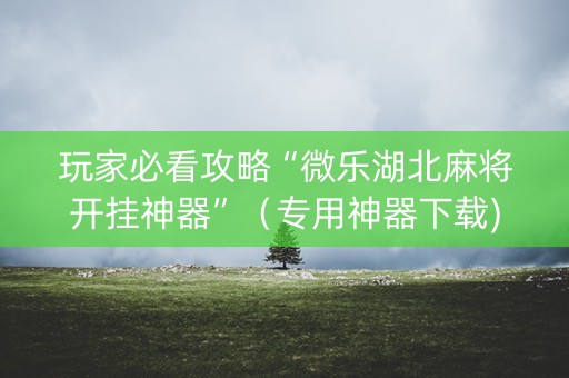 玩家必看攻略“微乐湖北麻将开挂神器”（专用神器下载)