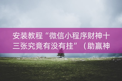 安装教程“微信小程序财神十三张究竟有没有挂”（助赢神器购买)