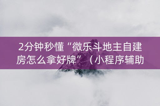2分钟秒懂“微乐斗地主自建房怎么拿好牌”（小程序辅助软件)
